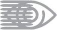 Asset 4.png